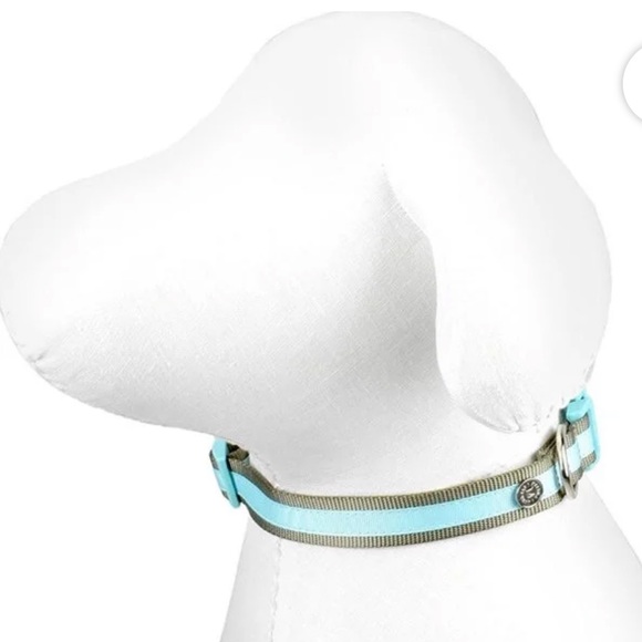 Martha Stewart Adjustable Nylon Dog Collar Size 20 - Neck 18-26" Mint Green/Gray - Picture 11 of 11